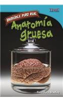 Increíble Pero Real: Anatomía Gruesa: (Time for Kids En Español - Level 4)