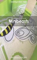 Enhancing Provision Through Minibeasts