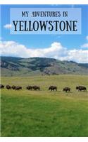My Adventures in Yellowstone