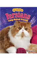 Persians: Long-Haired Friends