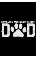 Bavarian Mountain Hound Dad