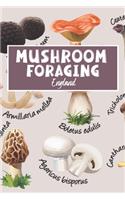 Mushroom Foraging England
