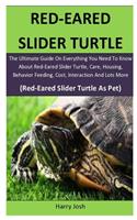 Red-Eared Slider Turtle