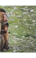 Barbary Ape Notebook Large Size 8.5 x 11 Ruled 150 Pages Softcover