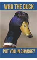 Who the Duck Put You in Charge?