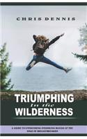 Triumphing in the Wilderness: A Guide to Overcoming Stumbling Blocks at the Edge of Breakthroughs
