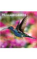 Hummingbirds 2020 Square Foil