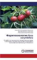 Farmtekhnologiya Rosa Corymbifera
