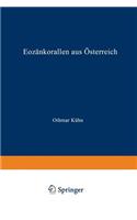 Eozänkorallen aus Österreich