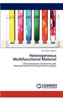 Heterogeneous Multifunctional Material