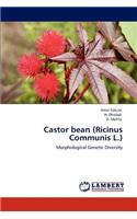 Castor bean (Ricinus Communis L.)