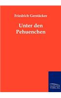 Unter den Pehuenchen: (German)