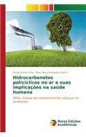 Hidrocarbonetos policíclicos no ar e suas implicações na saúde humana
