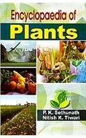 Encyclopaedia of Plants  (Set of  7 Vols.)