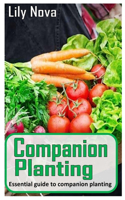 Companion Planting