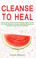 Cleanse to Heal: Guide to Cleanse & Detox From Gastric Problems, Diabetes, Fibrosis, Liver, Obesity, Inflammation, Coronary, Irritable Bowel Syndrome, Low Cholestero