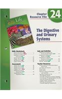 Holt Science & Technology Life Science Chapter 24 Resource File: The Digestive and Urinary Systems