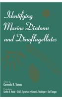 Identifying Marine Diatoms and Dinoflagellates