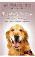 Tuesday's Promise