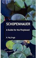 Schopenhauer: A Guide for the Perplexed