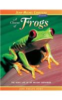Chorus of Frogs