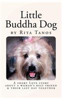 Little Buddha Dog