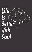 Life Is Better With Saul