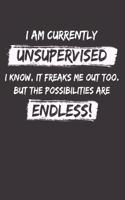 Unsupervised Bad Puns Banter Notebook Journal
