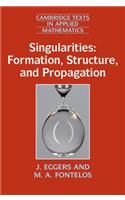 Singularities: Formation, Structure, and Propagation