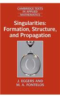 Singularities: Formation, Structure, and Propagation