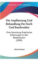 Anpflanzung Und Behandlung Der Korb Und Bandweiden