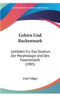 Gehirn Und Ruckenmark: Leitfaden Fur Das Studium Der Morphologie Und Des Faserverlaufs (1905)(German)