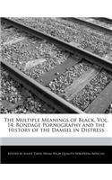 The Multiple Meanings of Black, Vol. 14