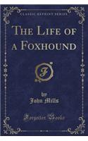 The Life of a Foxhound (Classic Reprint)
