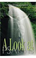 A Look at Psalms