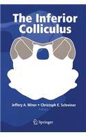 Inferior Colliculus