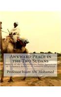 Awkward Peace in the Two Sudans: Impacts of the Comprehesive Peace Agreement on Voluntary Returns of Sudanese Displaced