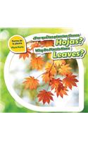 ¿Por Qué Las Plantas Tienen Hojas? / Why Do Plants Have Leaves?