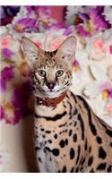 Serval Spring Notebook & Journal. Productivity Work Planner & Idea Notepad: Brainstorm Thoughts, Self Discovery, To Do List