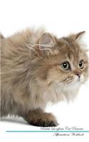 British Longhair Cat Affirmations Workbook British Longhair Cat Presents
