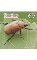 Beetles