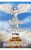 The Realms of Heaven: A Trilogy - Book One: Expect a Miracle