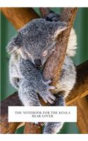 For the Koala Bear Lover