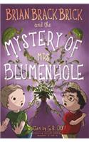 Brian Brackbrick and the Mystery of Mrs Blumenhole