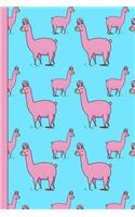 Llama Notebook