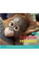 Orangutan Orphanage