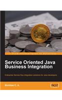 Service Oriented Java Business Integration