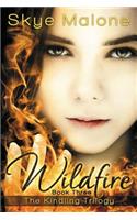 Wildfire