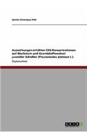 Auswirkungen erhöhter CO2-Konzentrationen auf Wachstum und Grundstoffwechsel juveniler Schollen (Pleuronectes platessa L.): (German)