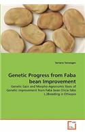 Genetic Progress from Faba bean Improvement